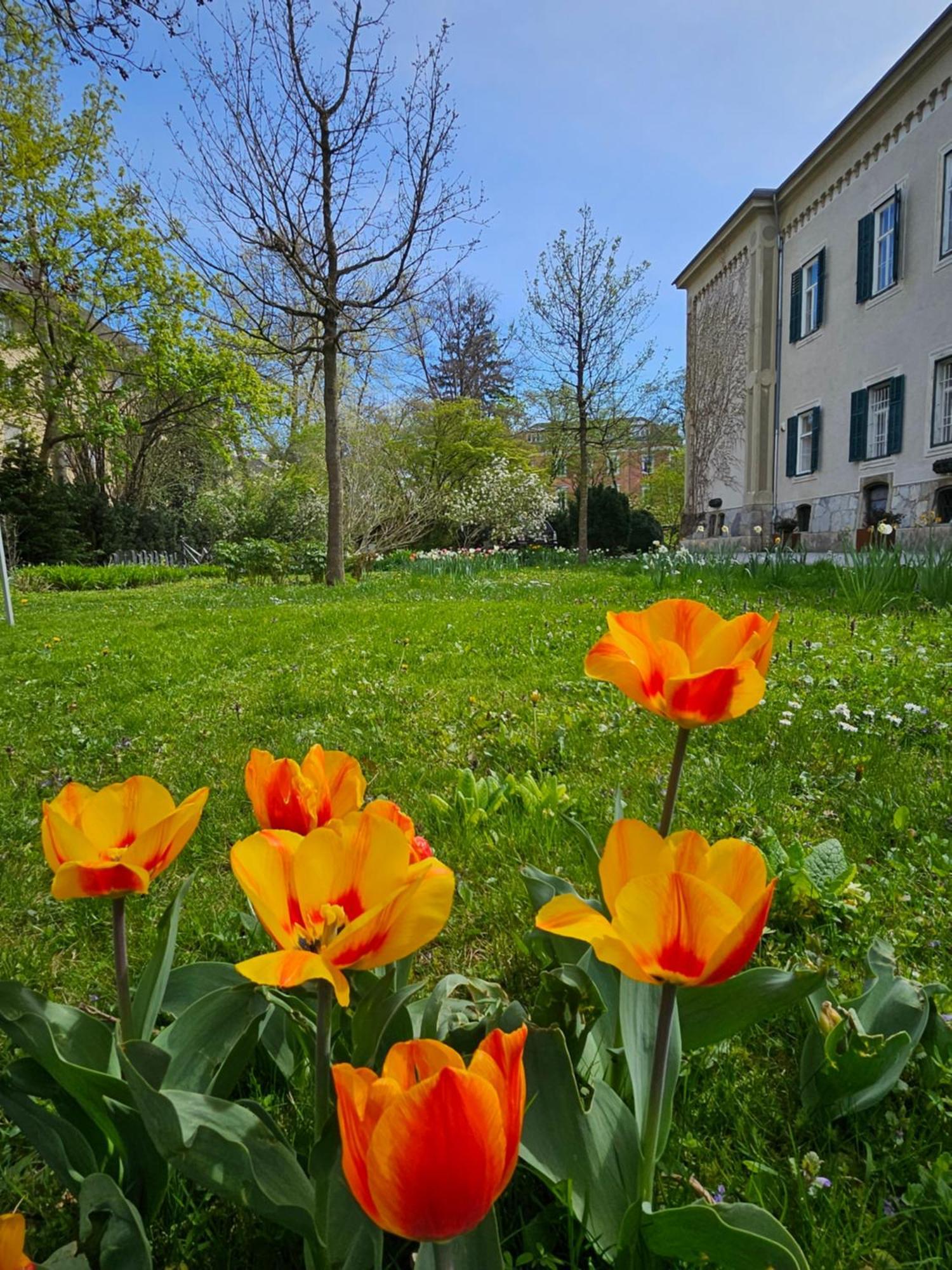 Yellow Flat By Grazrentals With Best Location & Free Parking Dış mekan fotoğraf
