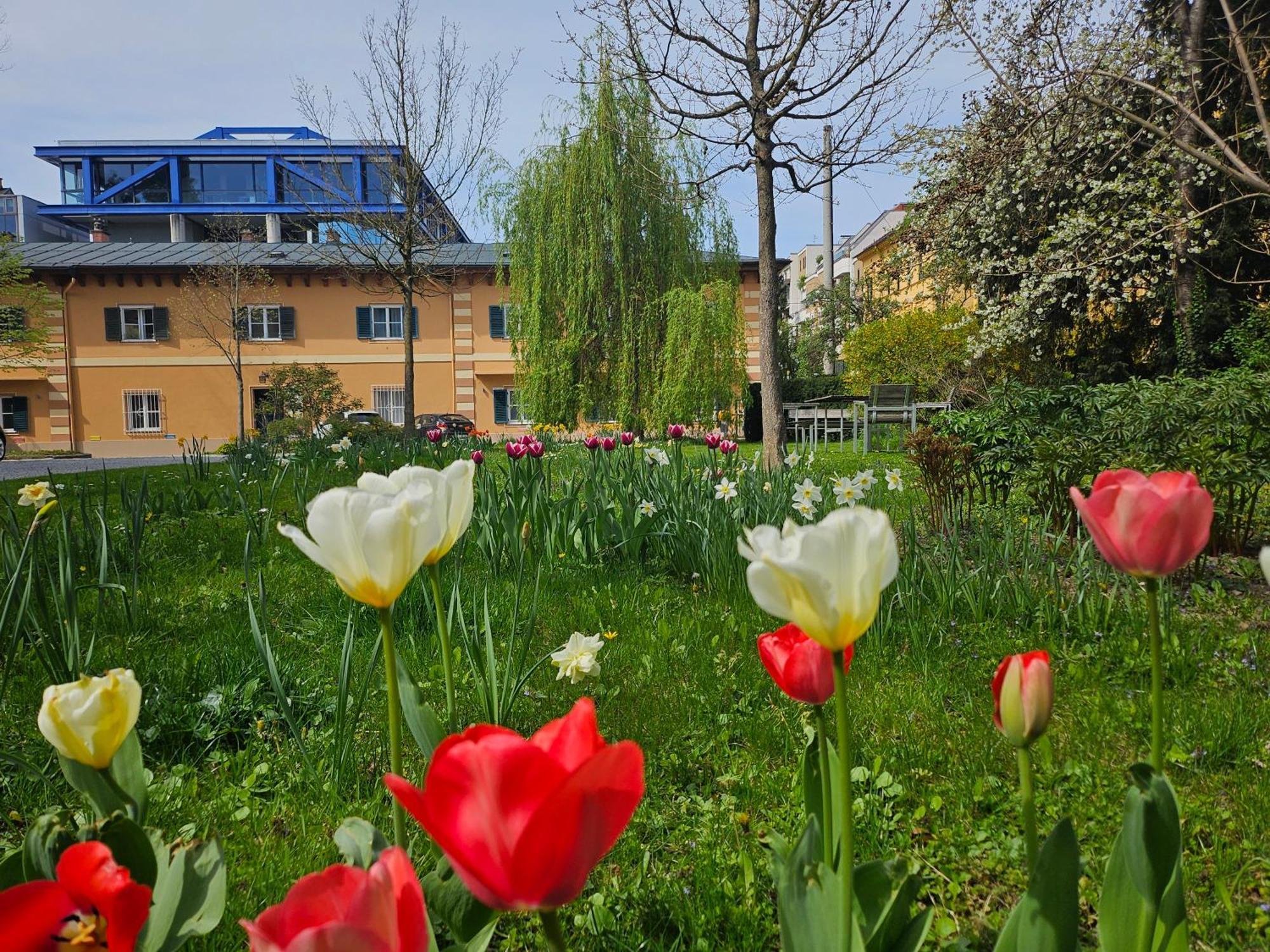 Yellow Flat By Grazrentals With Best Location & Free Parking Dış mekan fotoğraf